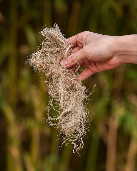 What Is Hemp Fabric & Why Is It a Game-Changer?